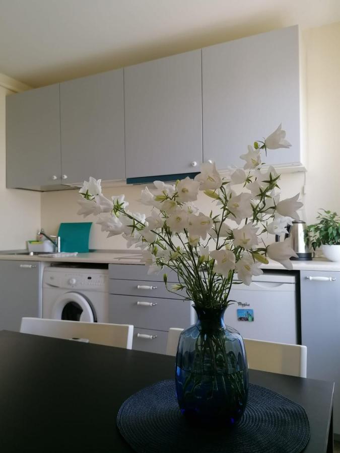 Apartment Anna Saldus Екстериор снимка